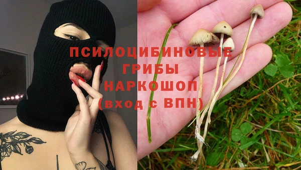 ПСИЛОЦИБИНОВЫЕ ГРИБЫ Армянск
