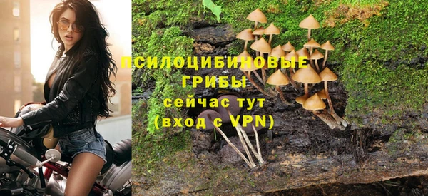 синтетический гашиш Арсеньев
