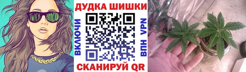 Бошки Шишки семена  магазин  наркотиков  Тутаев 